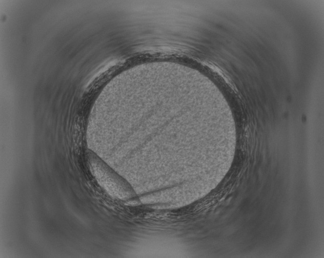 X0000087320967200705181007