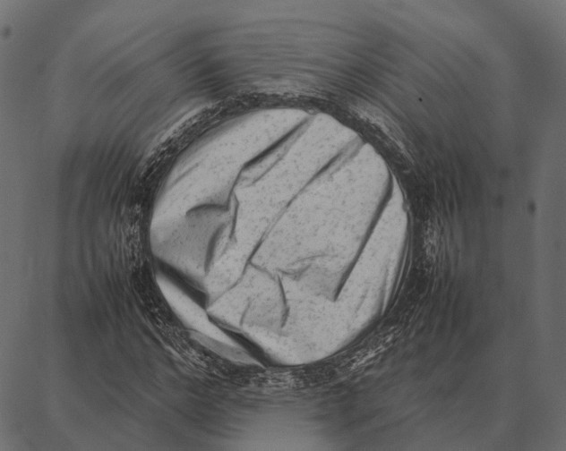 X0000087320968200705181007