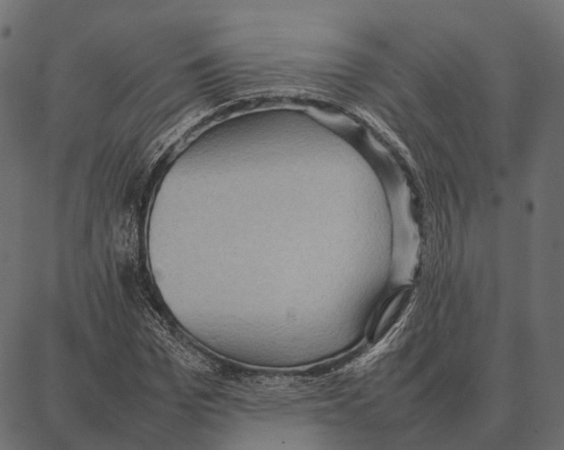 X0000087320969200705181007