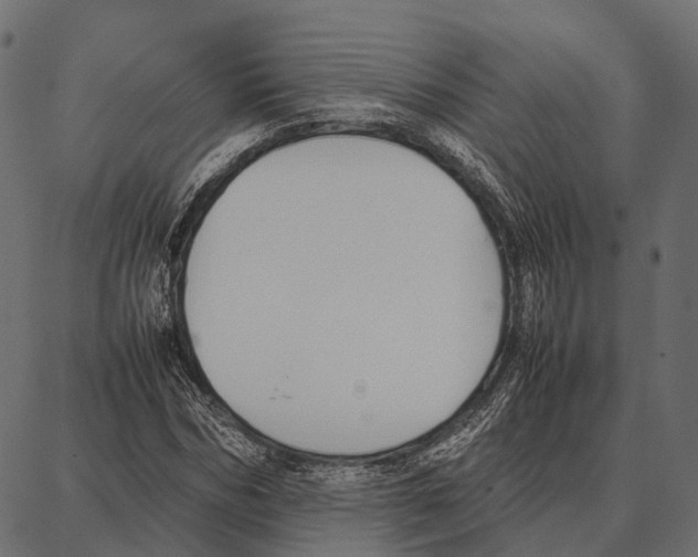 X0000087320970200705181007