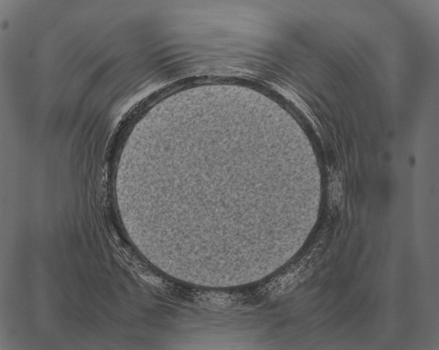 X0000087320971200705181007