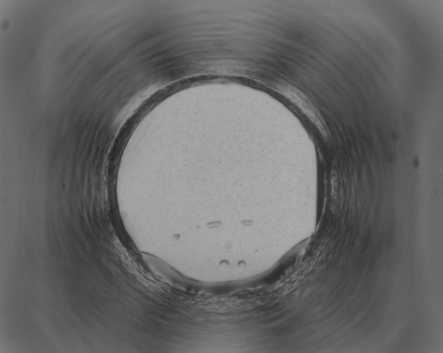 X0000087320972200705181007