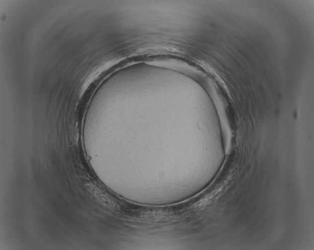 X0000087320973200705181007