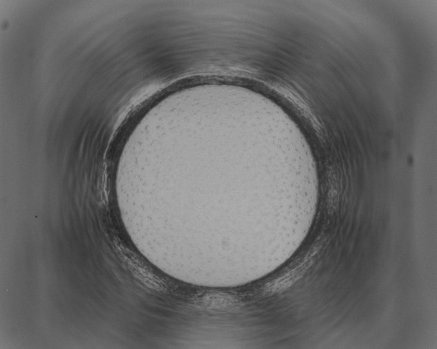 X0000087320974200705181007