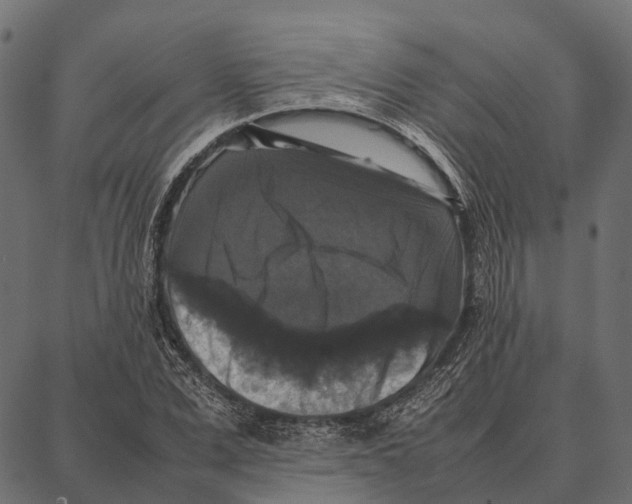 X0000087320975200705181007