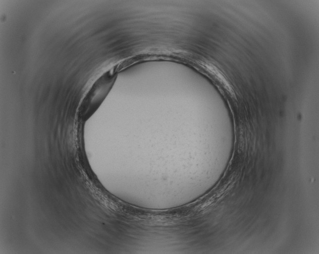 X0000087320976200705181007