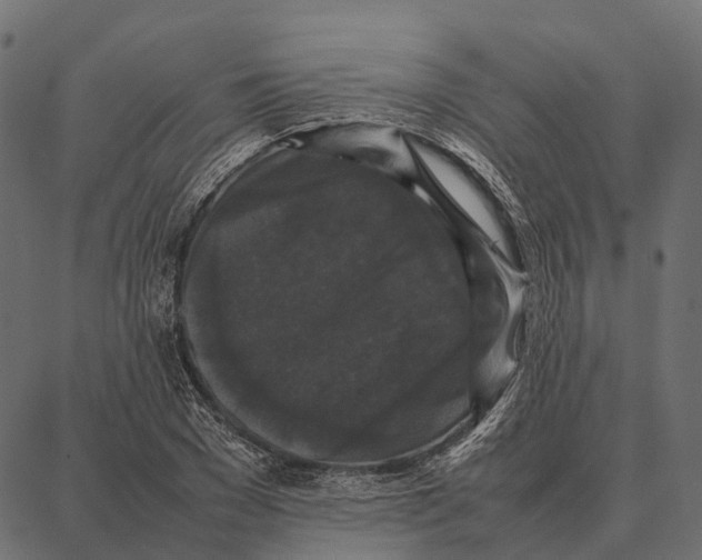 X0000087320977200705181007