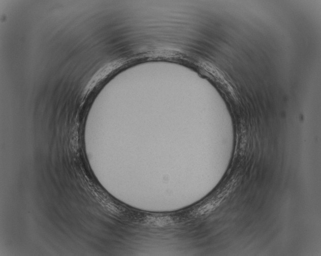 X0000087320978200705181007