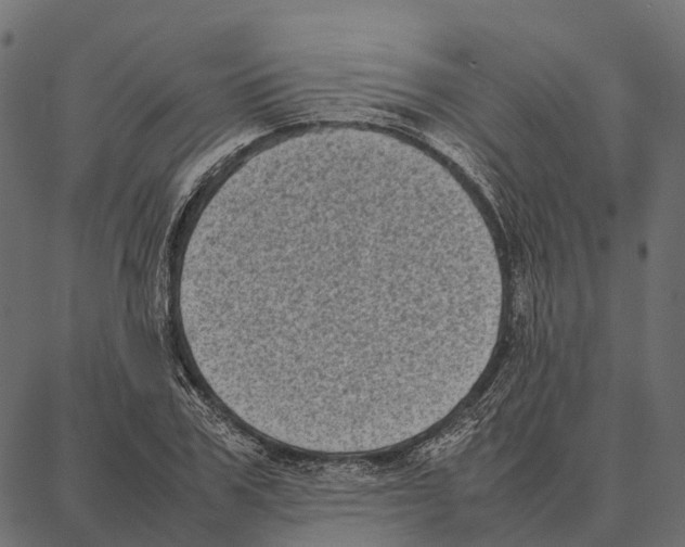 X0000087320979200705181007