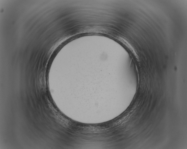 X0000087320980200705181007