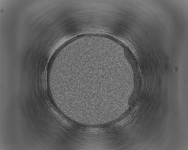 X0000087320982200705181007