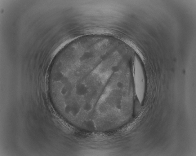 X0000087320983200705181007