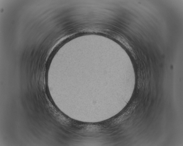 X0000087320984200705181007