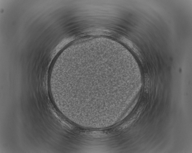 X0000087320986200705181006