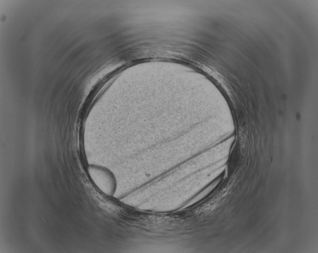 X0000087320987200705181006