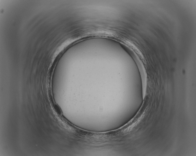 X0000087320989200705181006