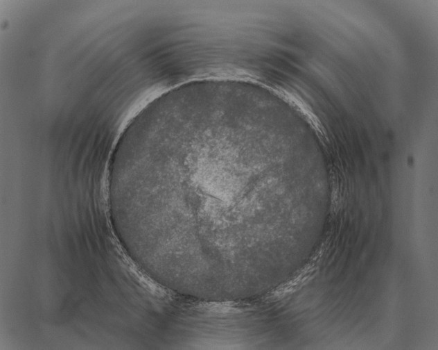 X0000087320990200705181006