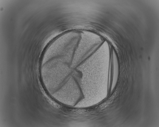 X0000087320991200705181006