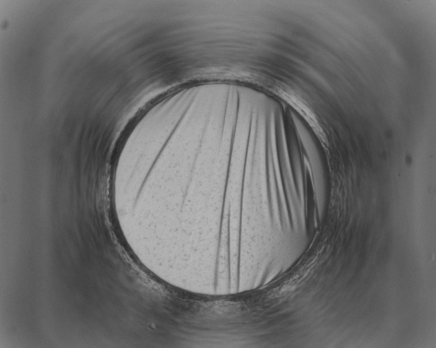 X0000087320992200705181006