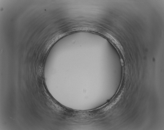 X0000087320993200705181006