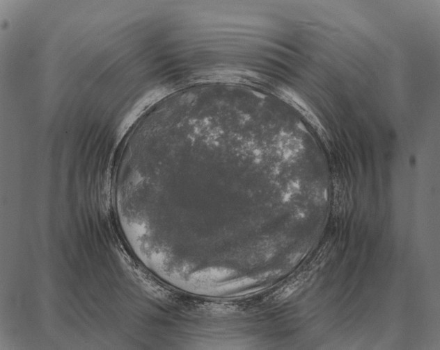 X0000087320994200705181006