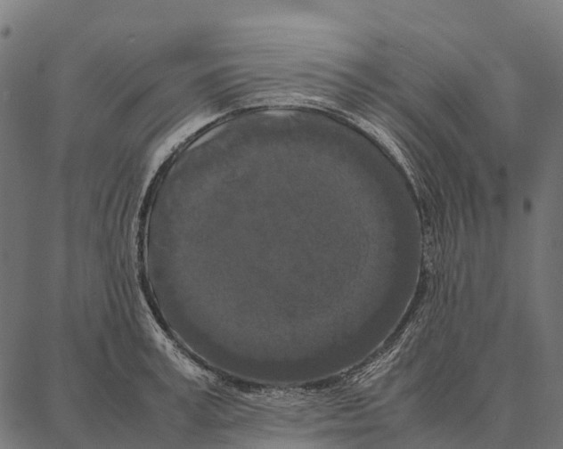 X0000087320995200705181006