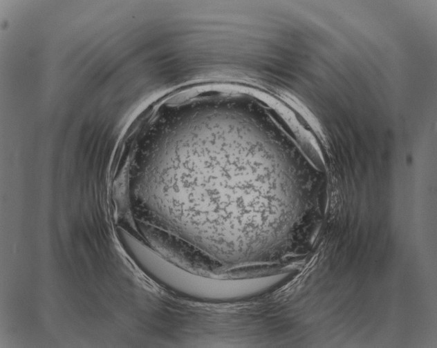 X0000087320996200705181006