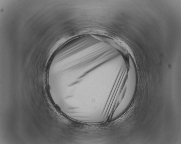 X0000087320997200705181006