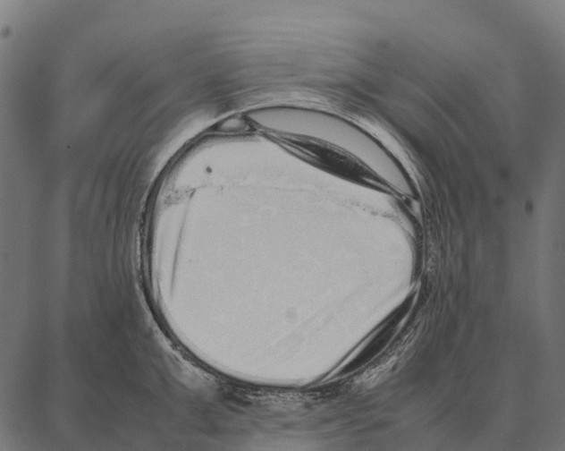 X0000087320999200705181006