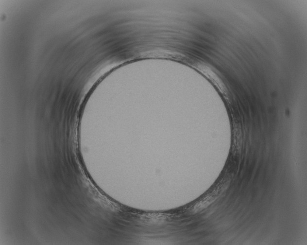 X0000087321000200705181006