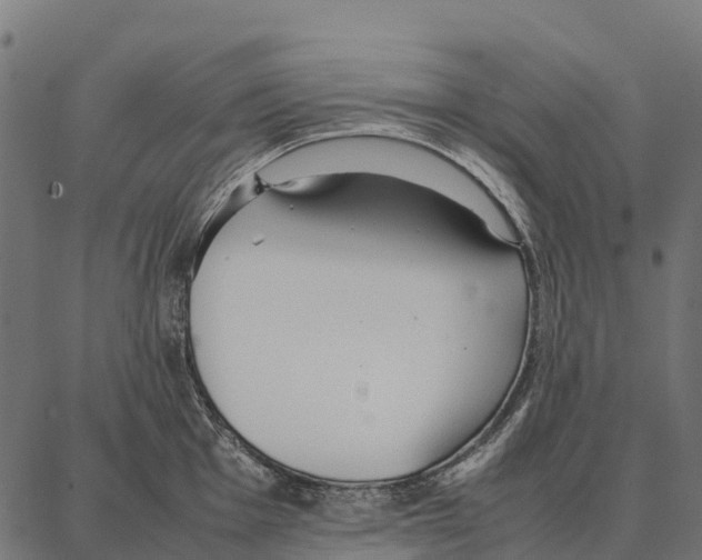 X0000087321001200705181006