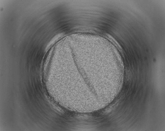 X0000087321002200705181006