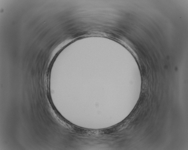 X0000087321003200705181006