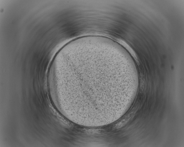 X0000087321004200705181006