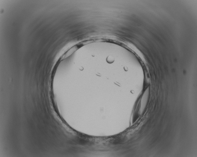 X0000087321005200705181006