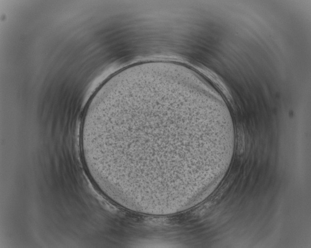 X0000087321006200705181006