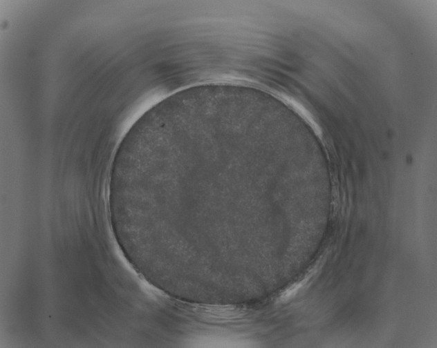 X0000087321007200705181006