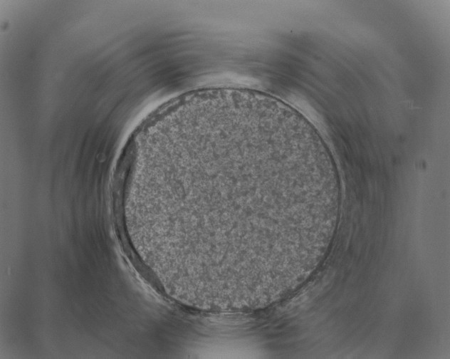 X0000087321008200705181006