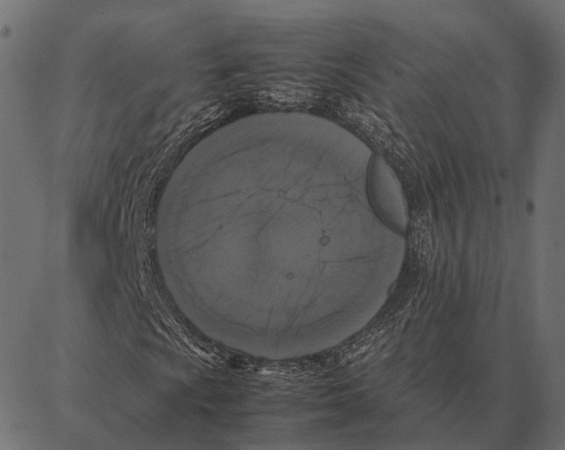 X0000087321009200705181005