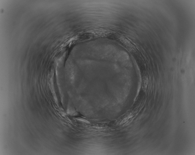 X0000087321010200705181005