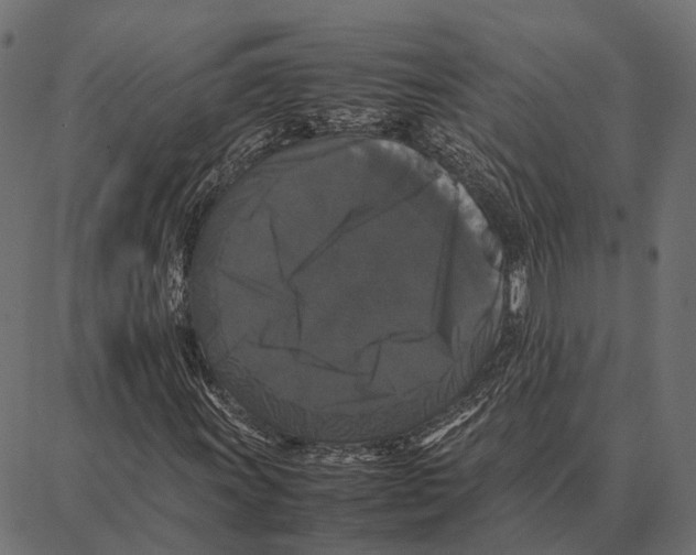 X0000087321011200705181005