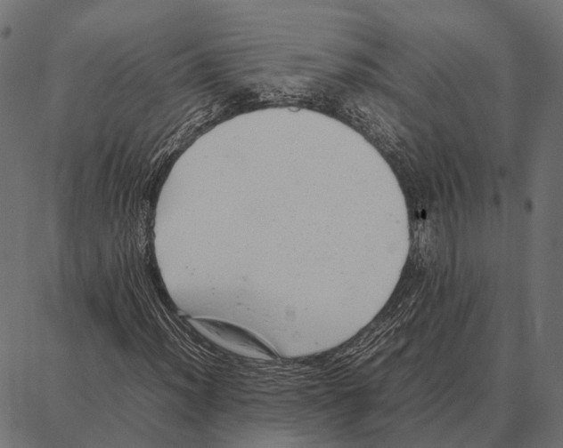 X0000087321012200705181005