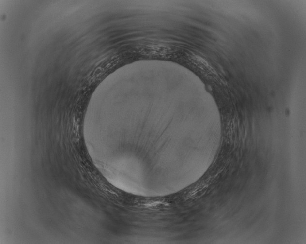 X0000087321013200705181005