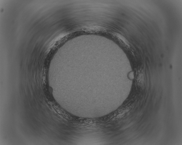 X0000087321016200705181005