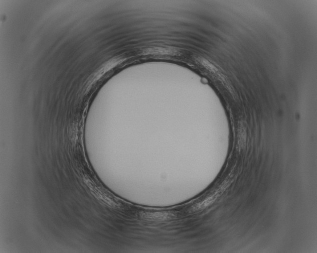 X0000087321017200705181005