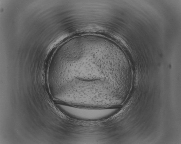 X0000087321018200705181005