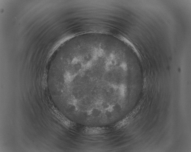 X0000087321019200705181006