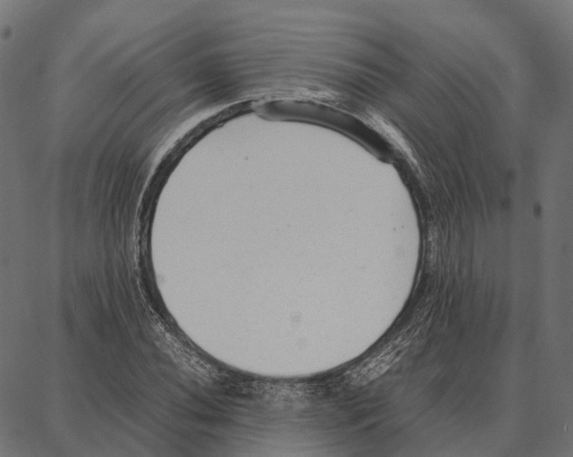 X0000087321020200705181006