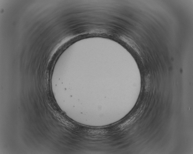 X0000087321021200705181006