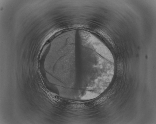 X0000087321023200705181006